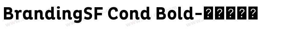 BrandingSF Cond Bold字体转换